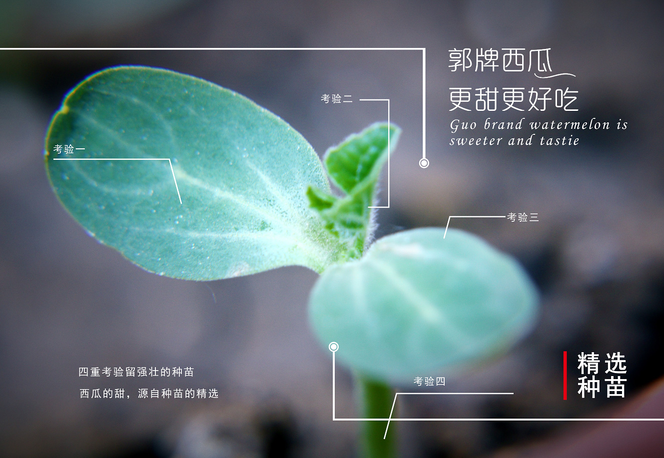 1550641203996201.jpg 科技創(chuàng)新_03.jpg