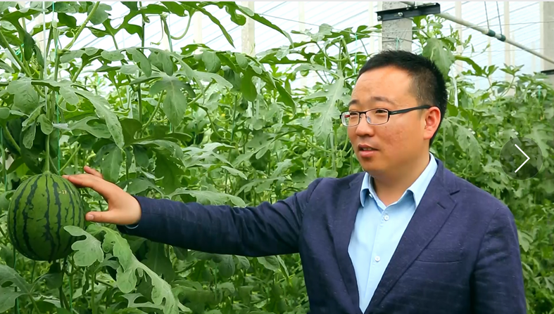 1661232306655450.jpg 1661232272689.jpg